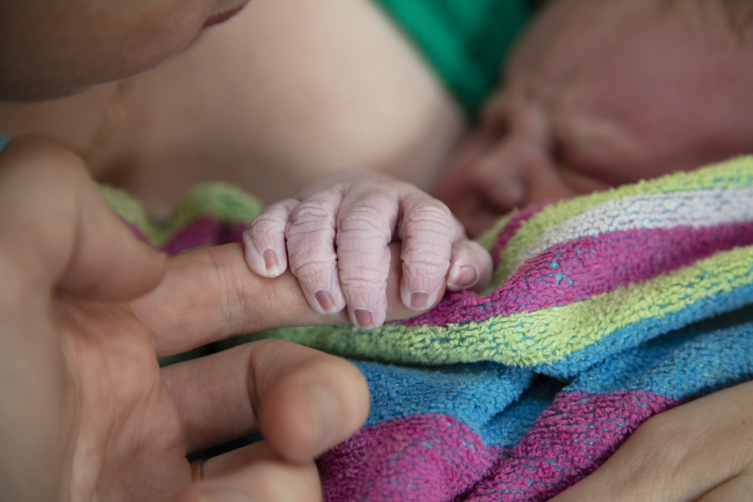 Cropped Hand Of Newborn Baby Holding Finger, unassisted home birth, home birth