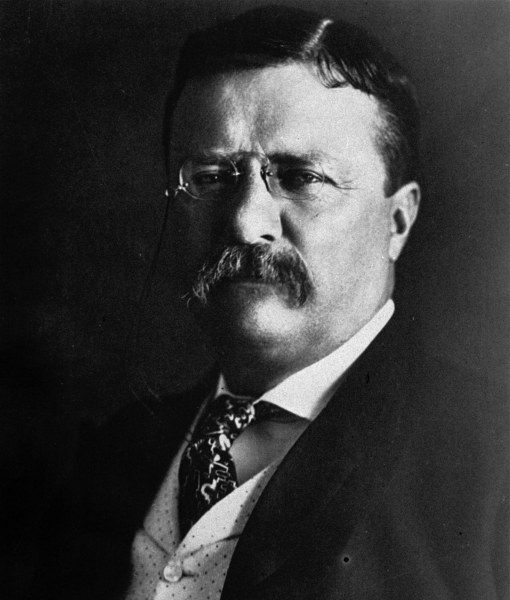 101366-teddy-roosevelt.jpg