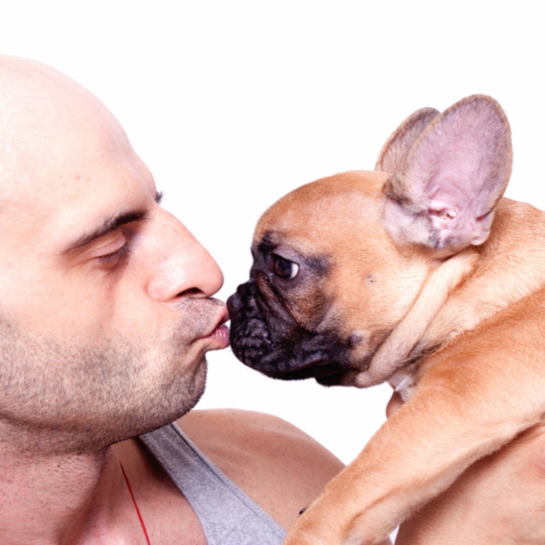 101492-popular-breed.jpg