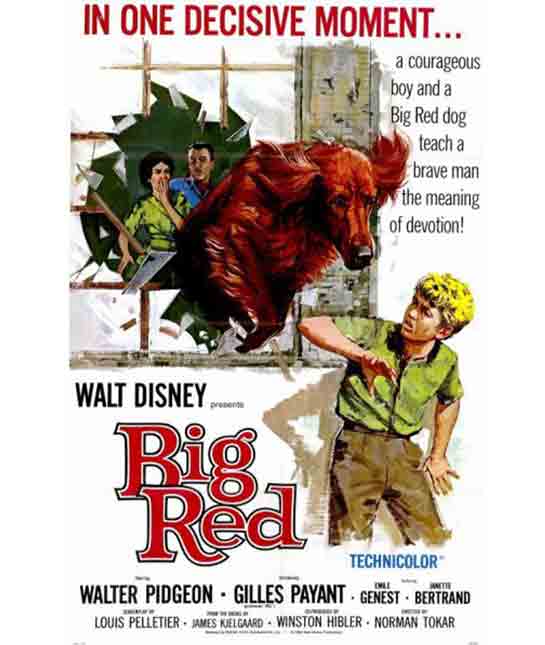 101774-big-red-movie-poster.jpg