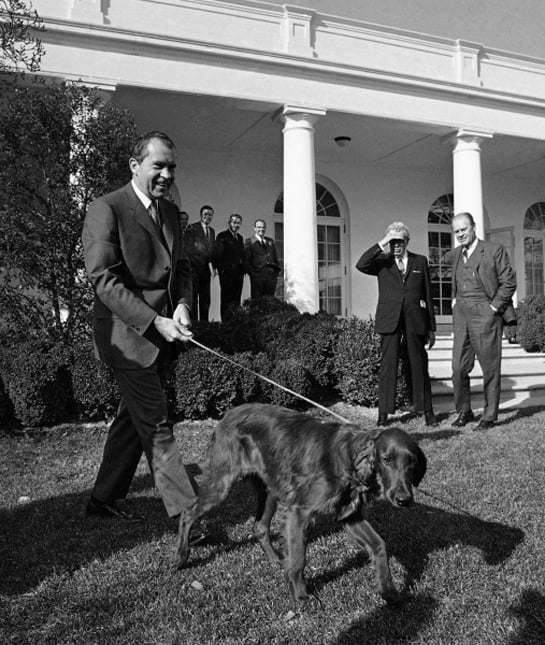 101781-richard-nixon-irish-setter.jpg