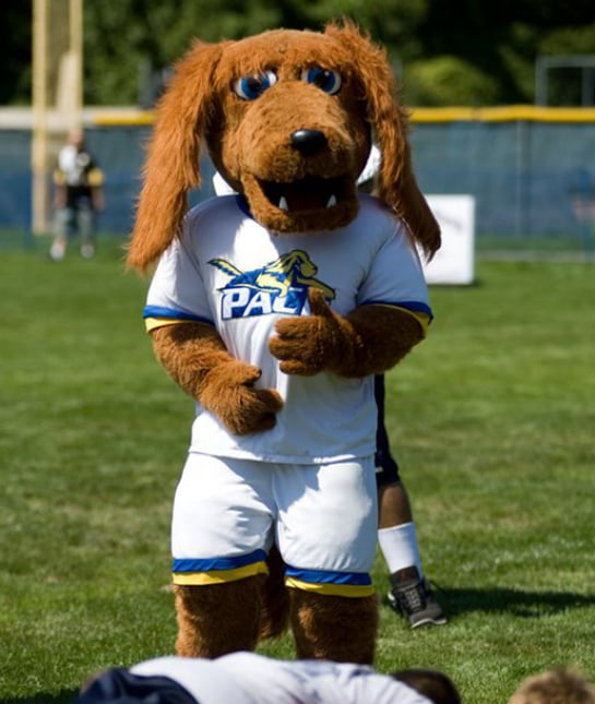 101784-pace-university-mascot.jpg