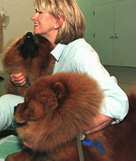 102248-martha-stewart-chow-chow.jpg