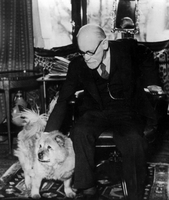 102250-sigmund-freud-chow-chow.jpg