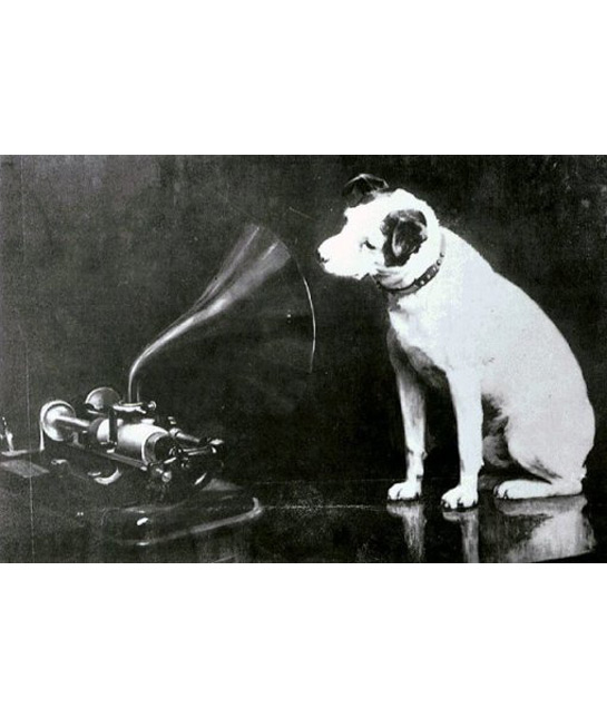 102255-fox-terrier-gramophone.jpg