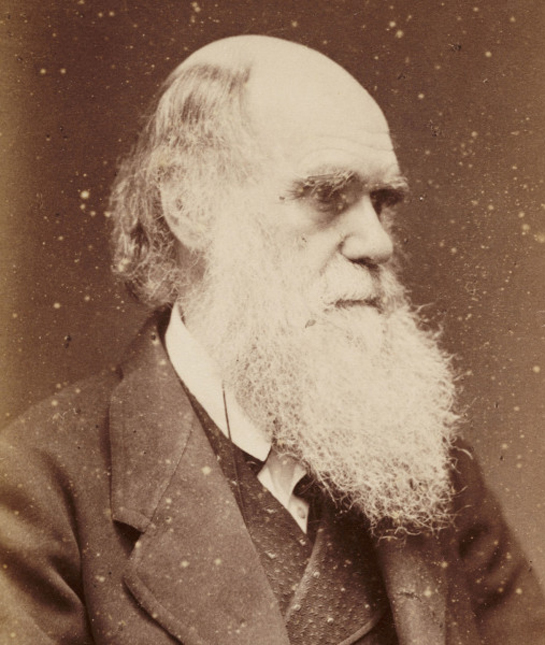 102257-charles-darwin.jpg