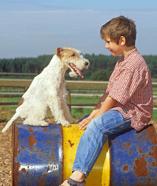 102265-my-dog-skip.jpg