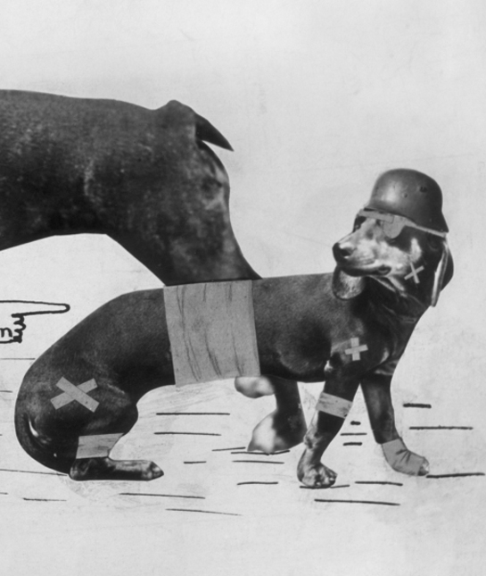102282-war-dachshund.jpg