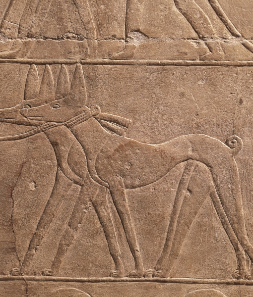 102302-relief-of-greyhounds-at-necropolis.jpg