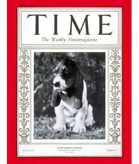 102414-basset-hound-time-magazine.jpg