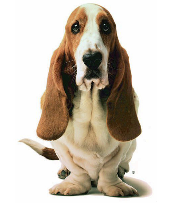 102420-hush-puppies.jpg