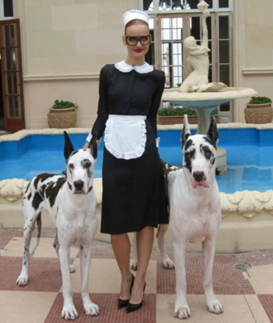 102452-great-dane-lady-gaga-music-video.jpg