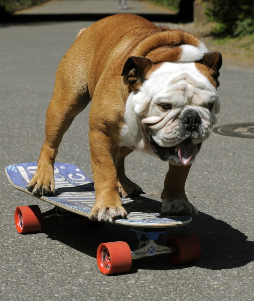 102524-tillman-the-world-s-fastest-skateboardi-2.jpg