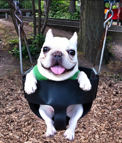 103497-barkleysircharles-instagram.png