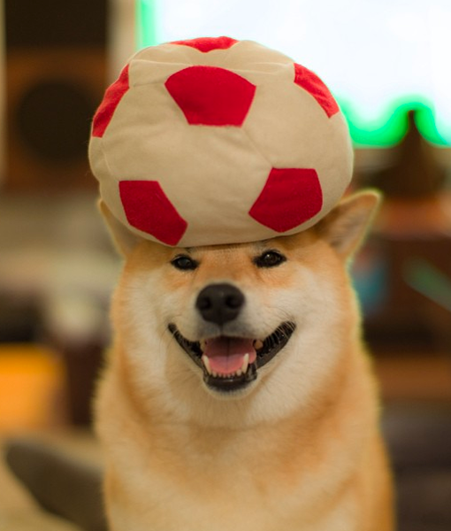 103498-marutaro-instagram.png