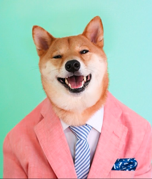 103499-mensweardog-instagram.png