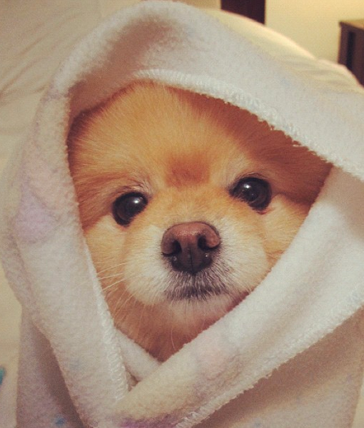 103500-sammy-instagram.png