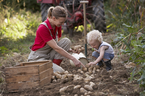 Photo by Getty Images/Stock4B Creative