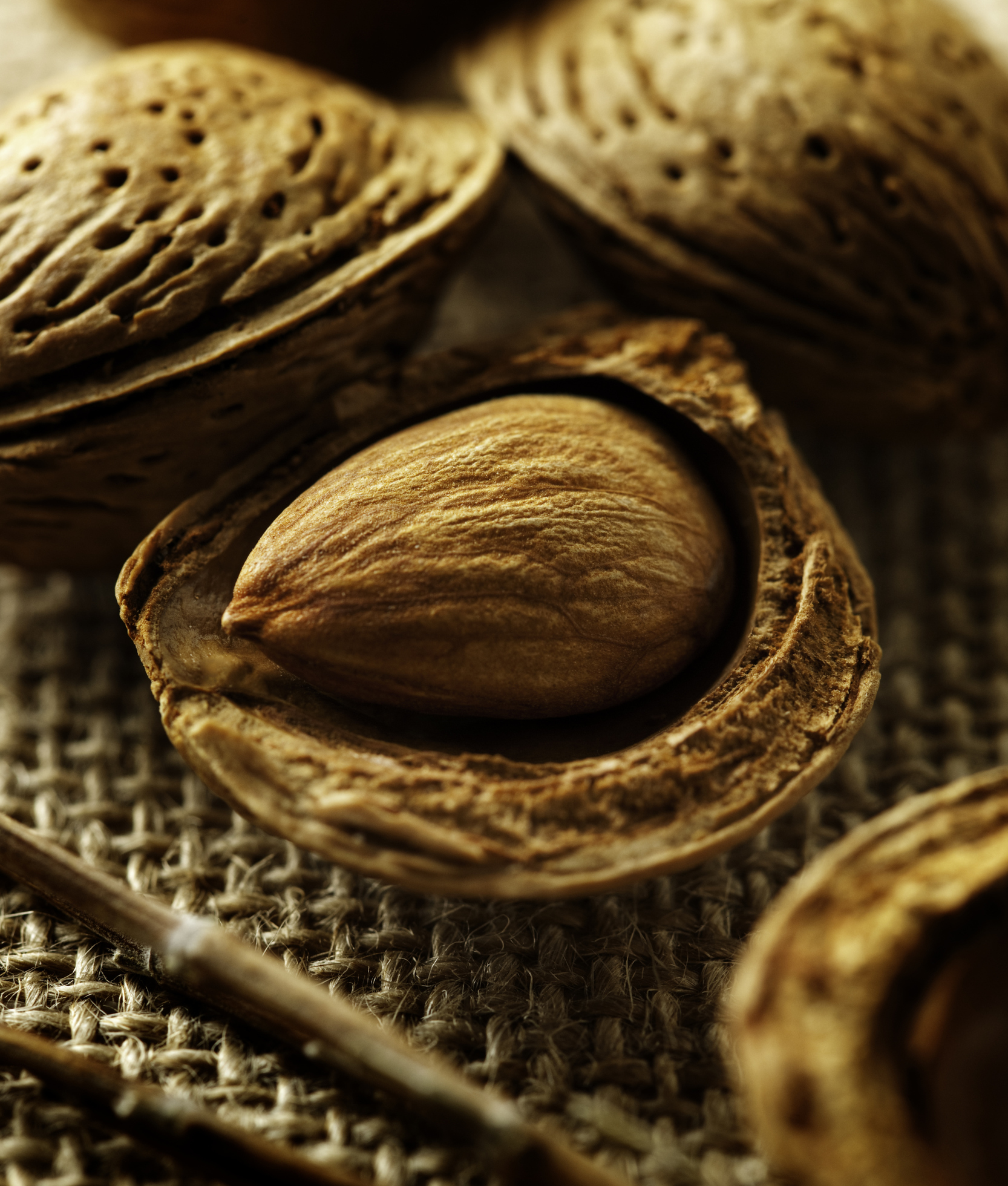 104665-almonds.jpg