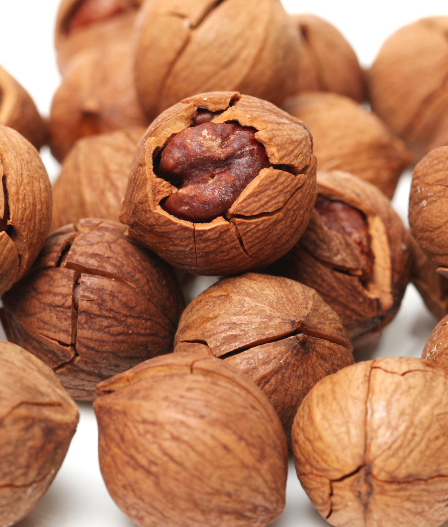 104666-hickory-nuts.jpg