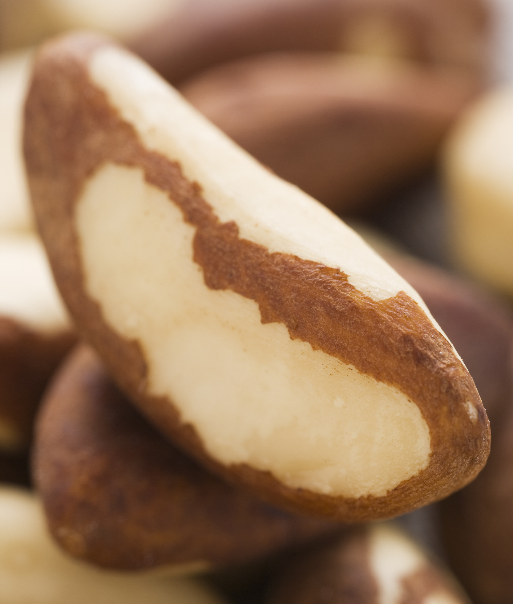 104667-brazil-nuts.jpg
