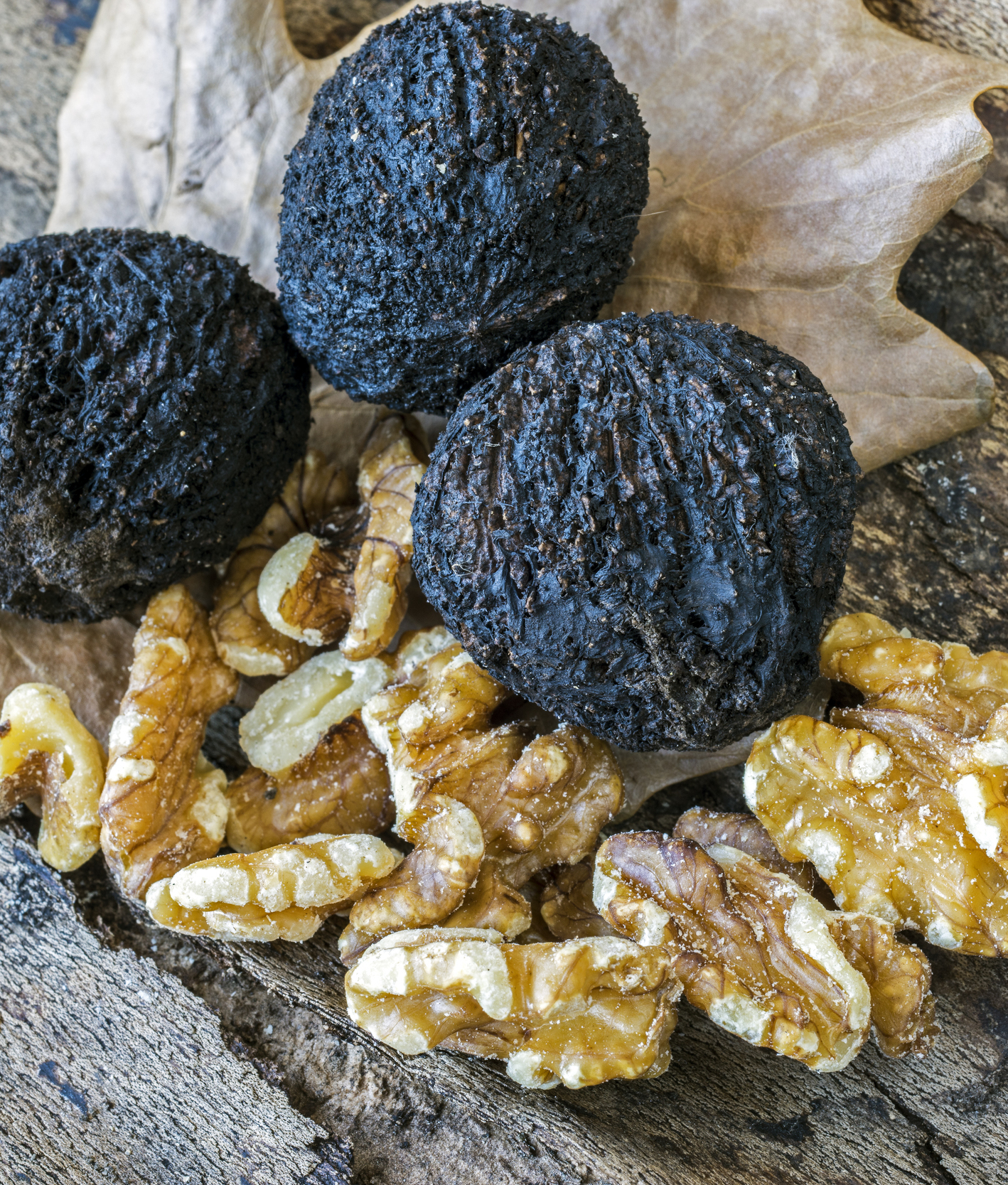 104670-black-walnuts.jpg