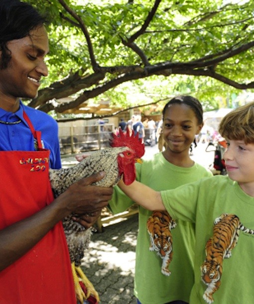 105298-animal-kingdom-camp.jpg