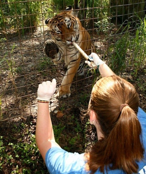 105302-big-cat-kids-camp.jpg