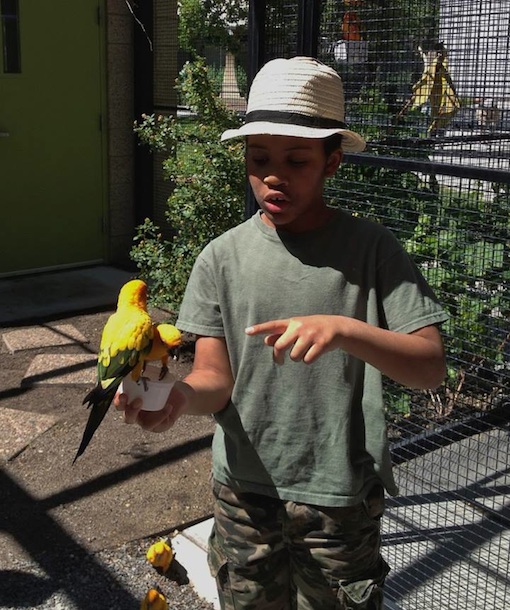 105303-avian-adventure-summer-camp.jpg