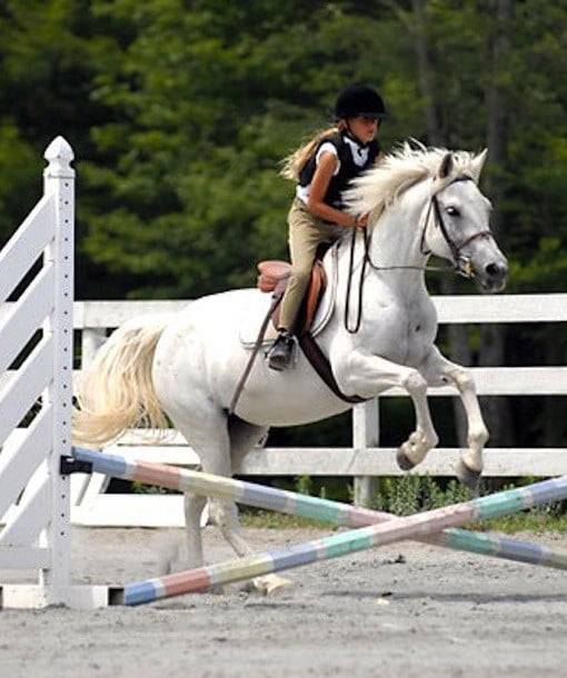 105305-international-riding-camp.jpg