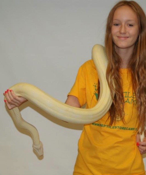 105307-reptile-store-camp.jpg