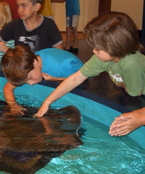 105309-summer-sounds-scientists-camp.jpg