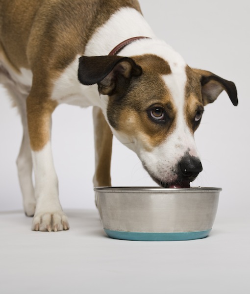 105956-thinkstock-1-1345588073.jpg