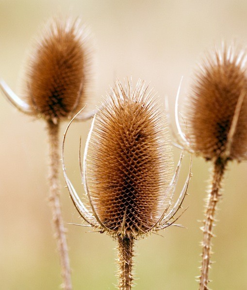 105958-thinkstock-3-1345588075.jpg