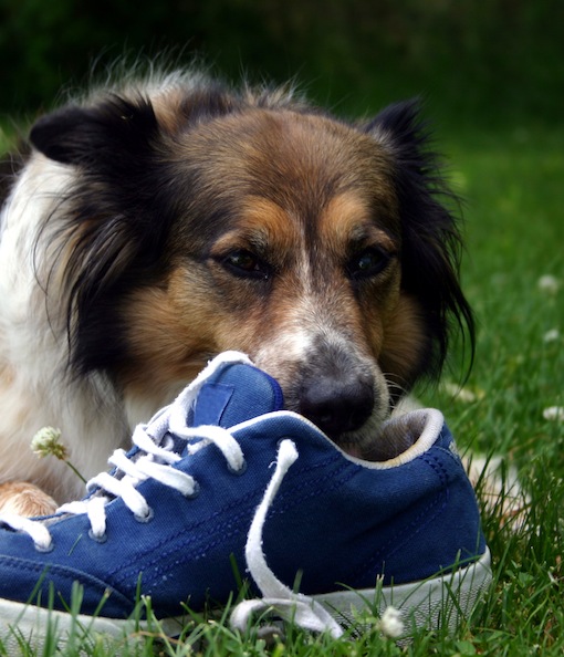 105962-thinkstock-5-1345588077.jpg