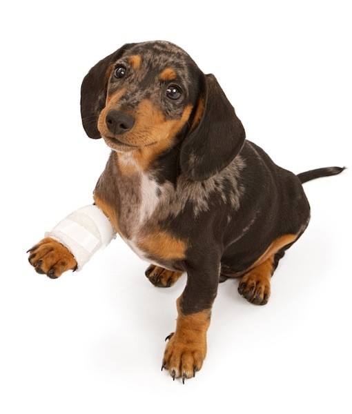 105963-thinkstock-8-1345588080.jpg