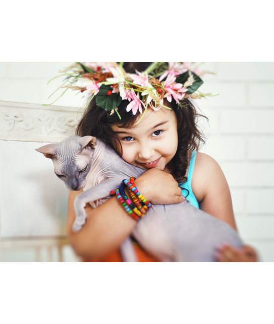 106787-cuddly-kitty.jpg