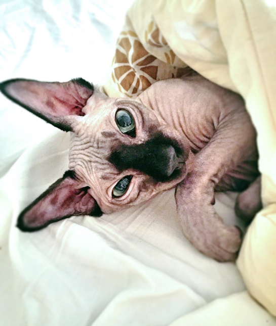 106791-keepin-warm.jpg