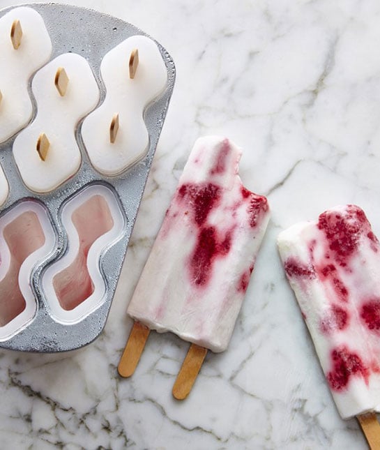 108623-williams-sonoma-double-twin-popsicle-mold.jpg