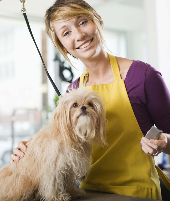108772-groomer-pekingese.jpg