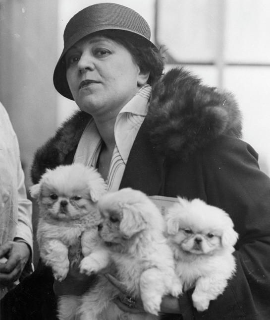 108782-rich-woman-pekingese-dogs.jpg