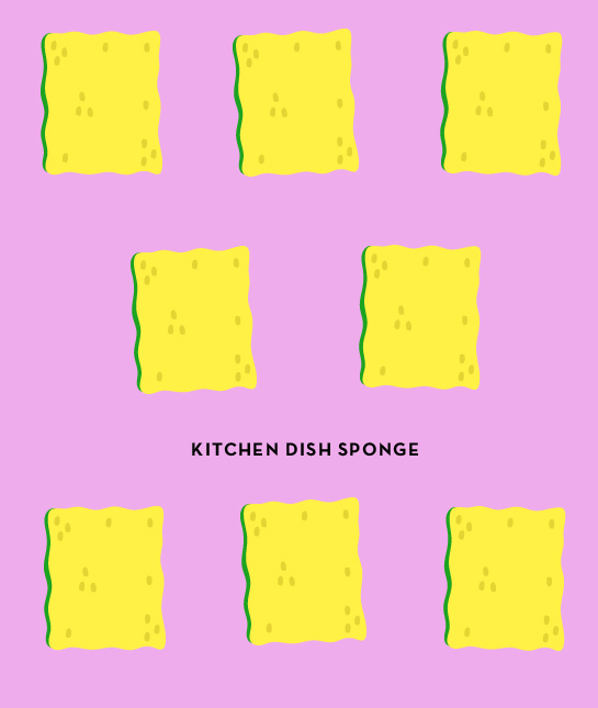 109434-sponge.jpg