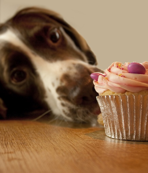 110425-thinkstock-3-1345825150.jpg