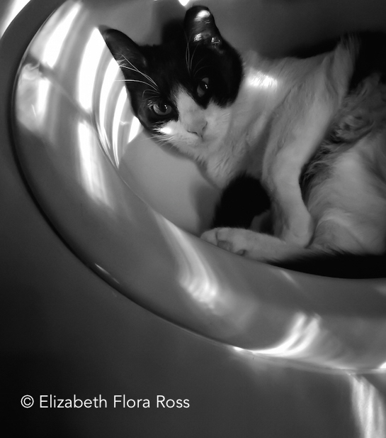 111641-in-the-sink.jpg