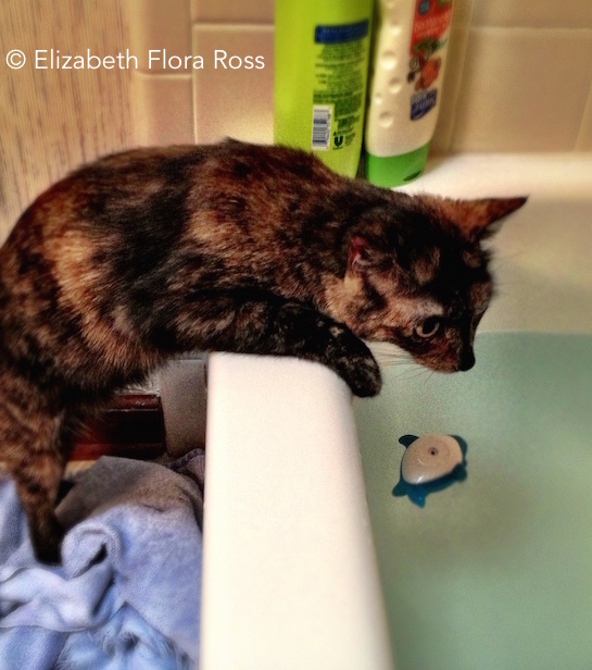 111651-try-a-cool-bath.jpg