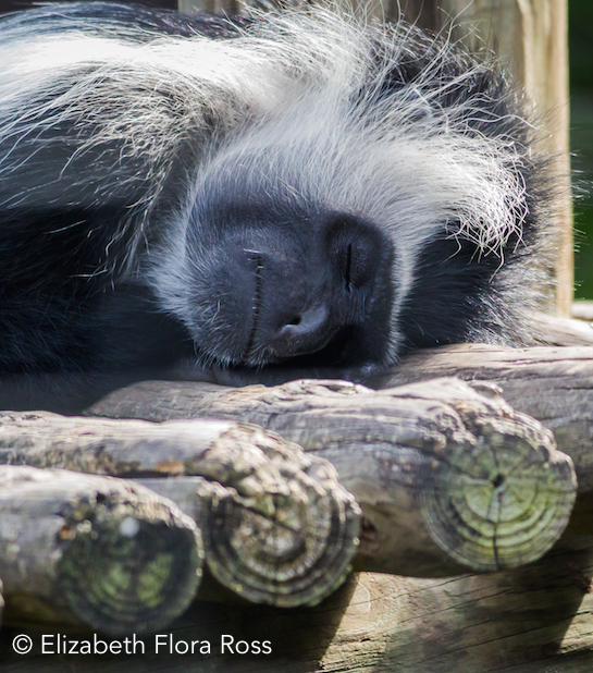111653-take-a-nap.jpg