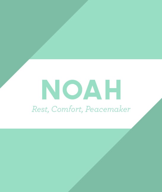 113992-2noah.jpg