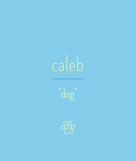 114162-caleb.jpg