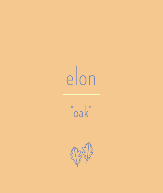 114164-elon.jpg