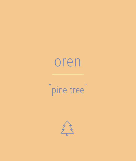 114169-oren.jpg